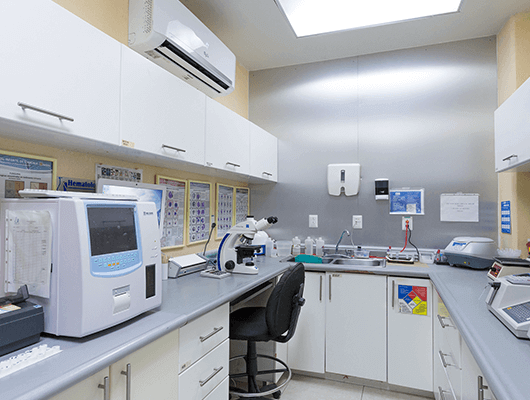 Hospital CMQ Premiere, Laboratory